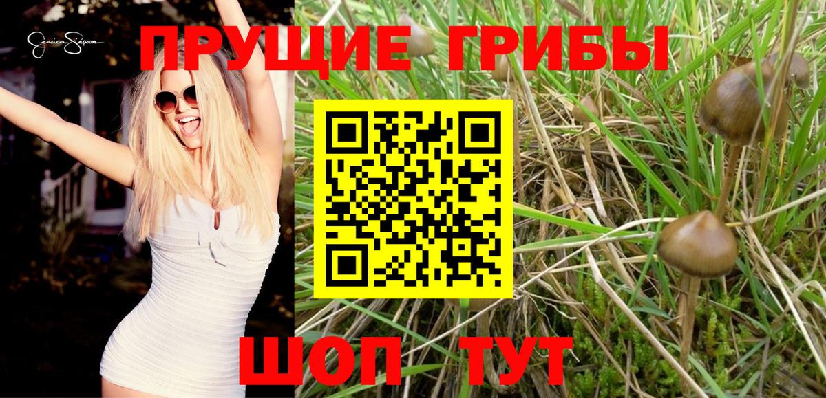 Галлюциногенные грибы MAGIC MUSHROOMS  Вход с VPN  Псилоцибиновые грибы GOLDEN TEACHER  Златоуст 